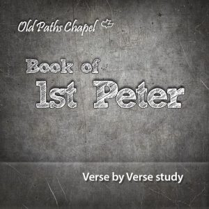 1st Peter Bible Series